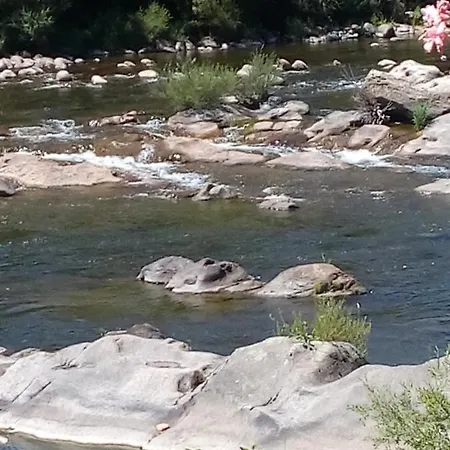 Au Bord De L'Eau
