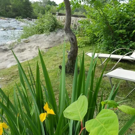 Au Bord De L'Eau